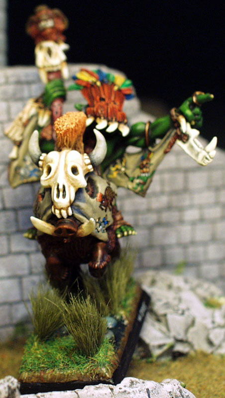 mounted orc shaman
